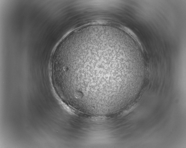 X0000074960859200609221755