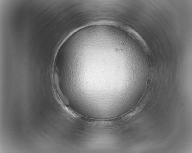 X0000074960860200609221755