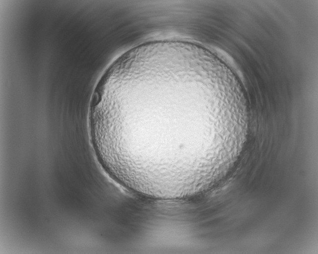 X0000074960863200609221755