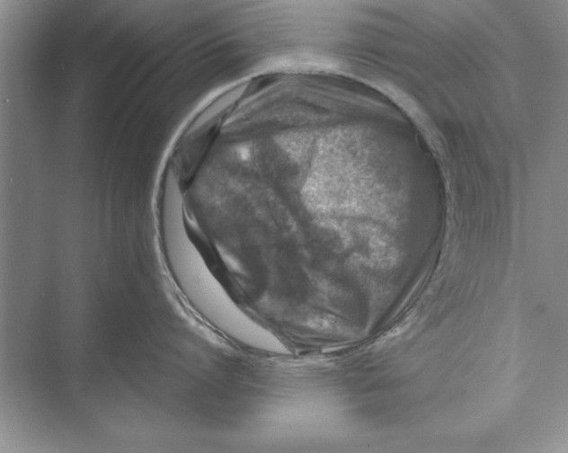 X0000074960864200609221755