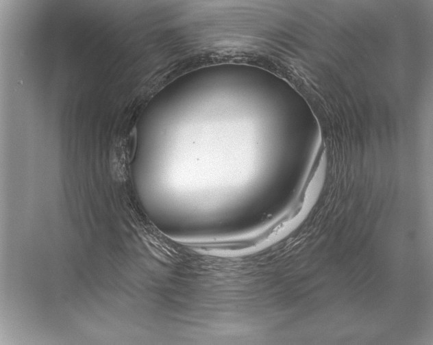 X0000074960868200609221754