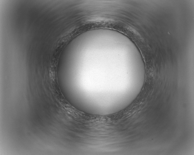 X0000074960869200609221754