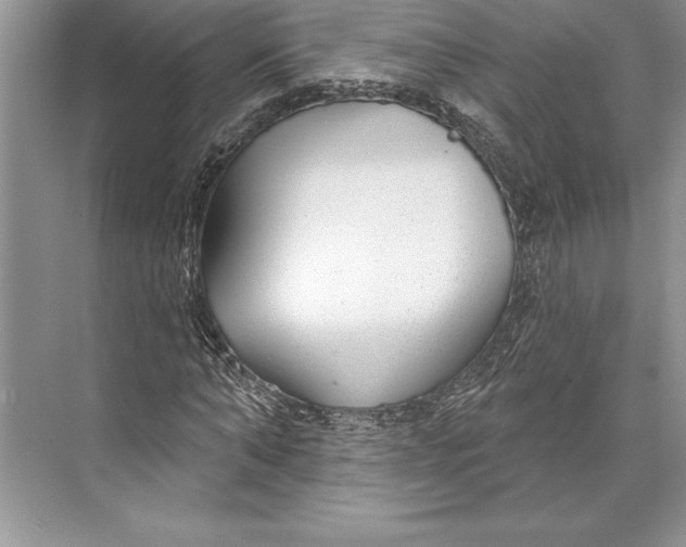 X0000074960870200609221754