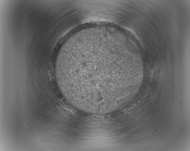 X0000074960871200609221754