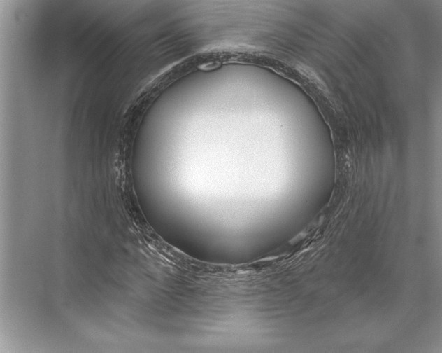 X0000074960872200609221754