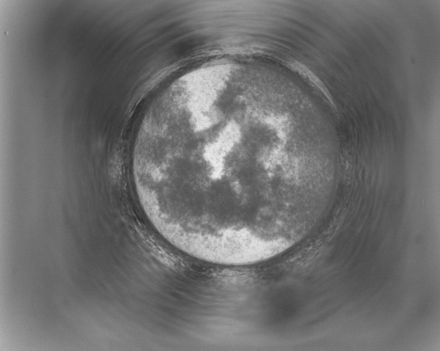 X0000074960874200609221754