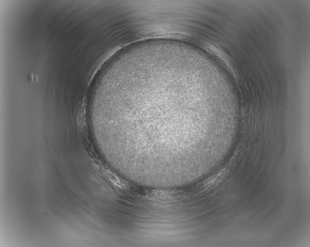 X0000074960875200609221754