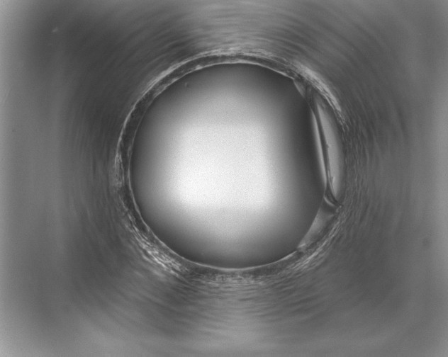 X0000074960876200609221754