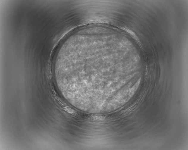 X0000074960878200609221754