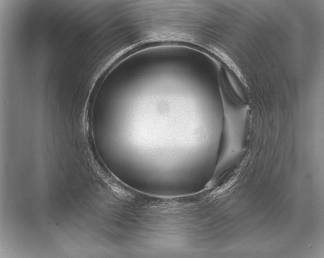 X0000074960885200609221754