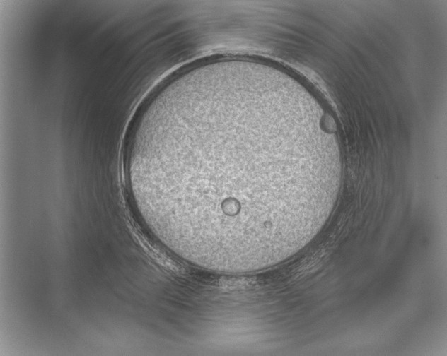 X0000074960887200609221754