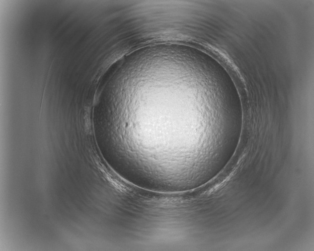 X0000074960889200609221754