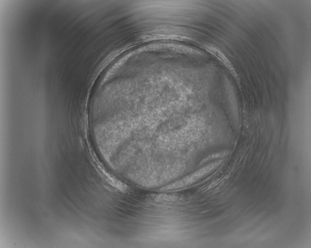 X0000074960890200609221754