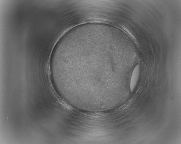 X0000074960891200609221754