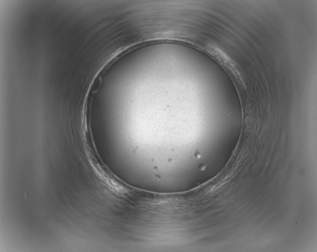 X0000074960892200609221754