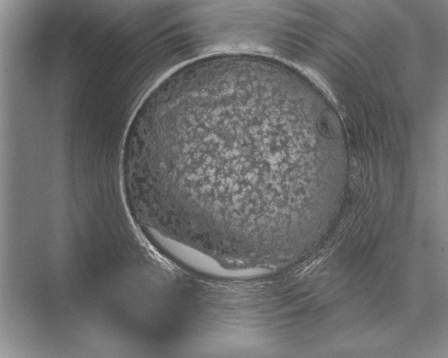 X0000074960895200609221754