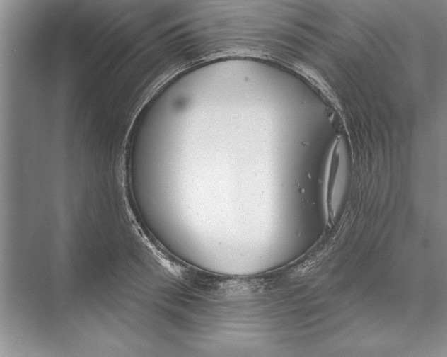 X0000074960898200609221754