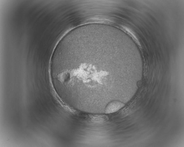 X0000074960899200609221754