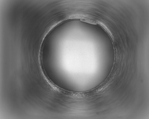 X0000074960901200609221754