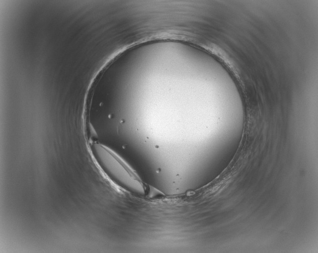 X0000074960902200609221754