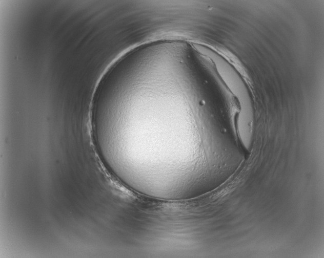 X0000074960904200609221754