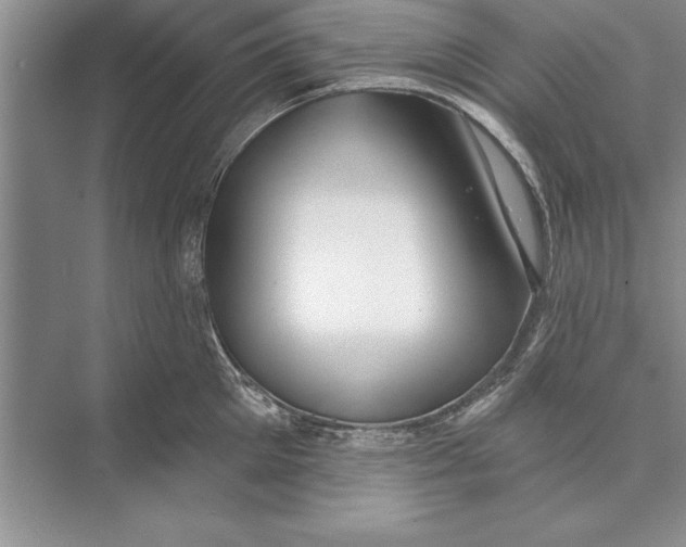 X0000074960905200609221754