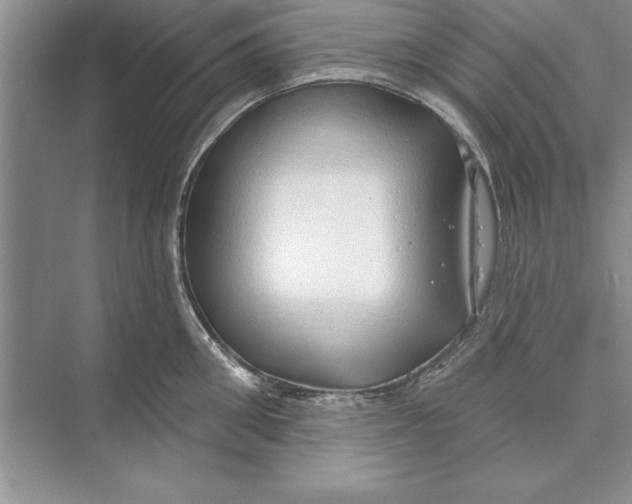 X0000074960906200609221754