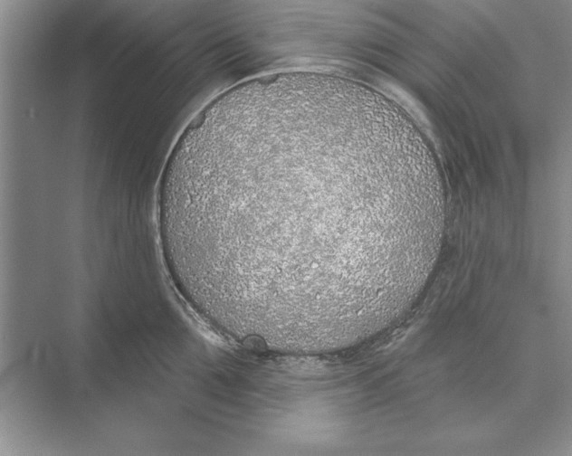 X0000074960907200609221754