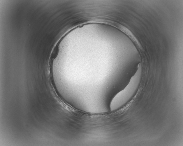 X0000074960908200609221754