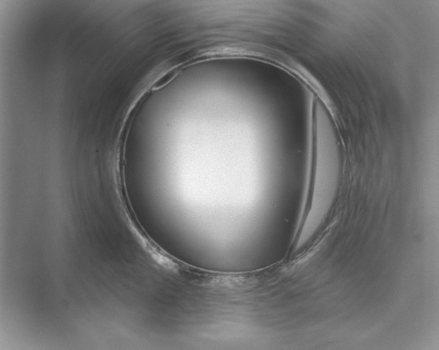 X0000074960909200609221754