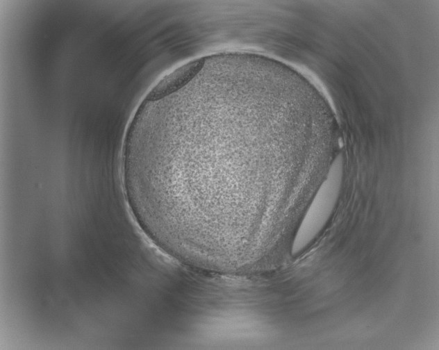 X0000074960911200609221754