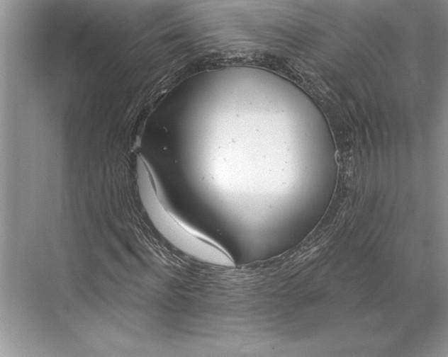 X0000074960916200609221753