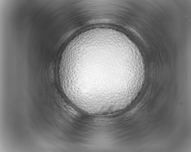 X0000074960921200609221753