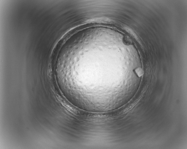 X0000074960923200609221753