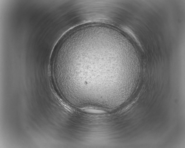 X0000074960924200609221753