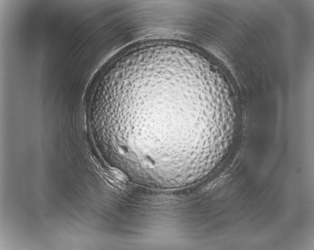 X0000074960925200609221753