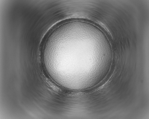 X0000074960926200609221753