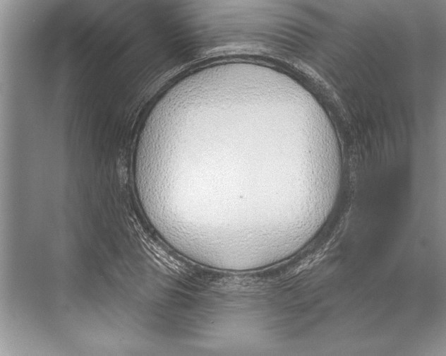 X0000074960929200609221753