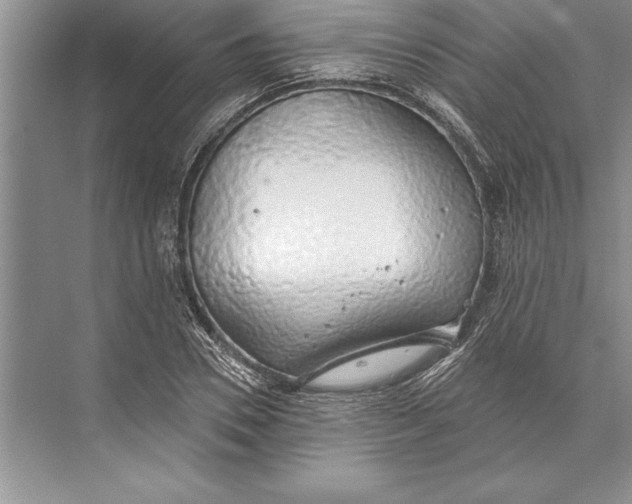 X0000074960930200609221753