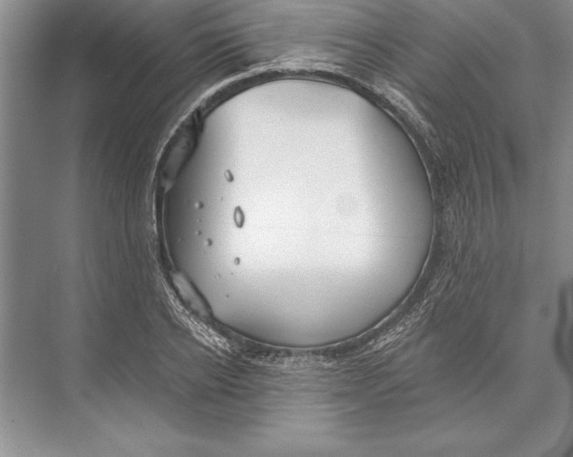 X0000074960934200609221753