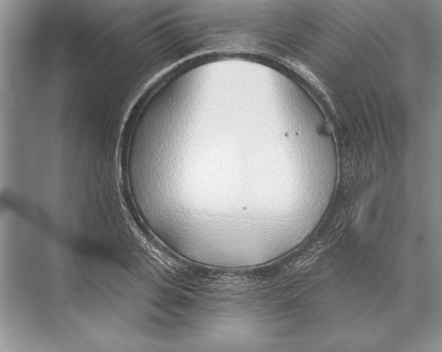 X0000074960935200609221753