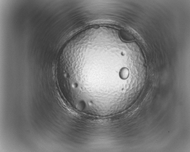 X0000074960937200609221753