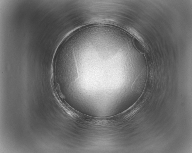 X0000074960940200609221753