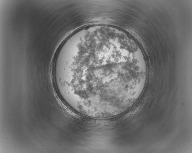 X0000074960941200609221753