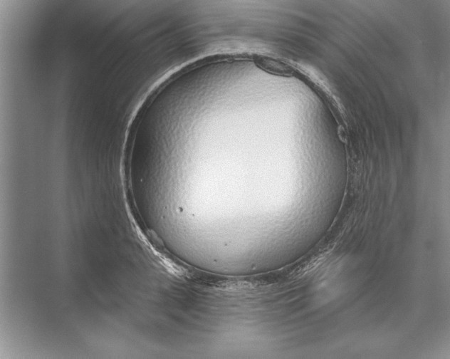 X0000074960943200609221753