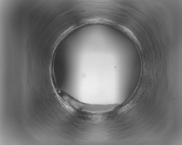 X0000074960946200609221753