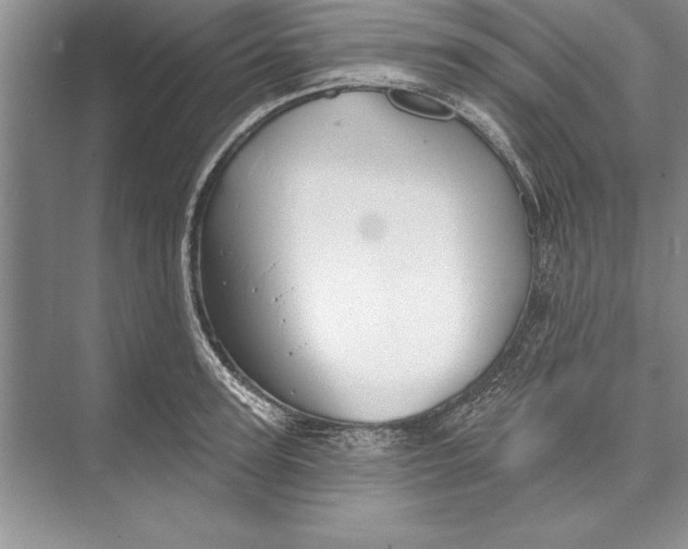 X0000074960947200609221753