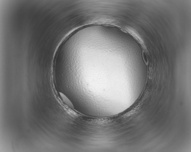 X0000074960948200609221753