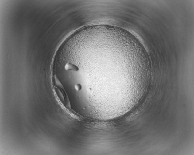 X0000074960949200609221753