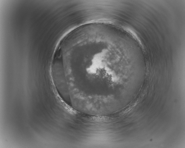 X0000074960952200609221753